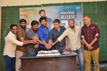MCA Movie Success Celebrations